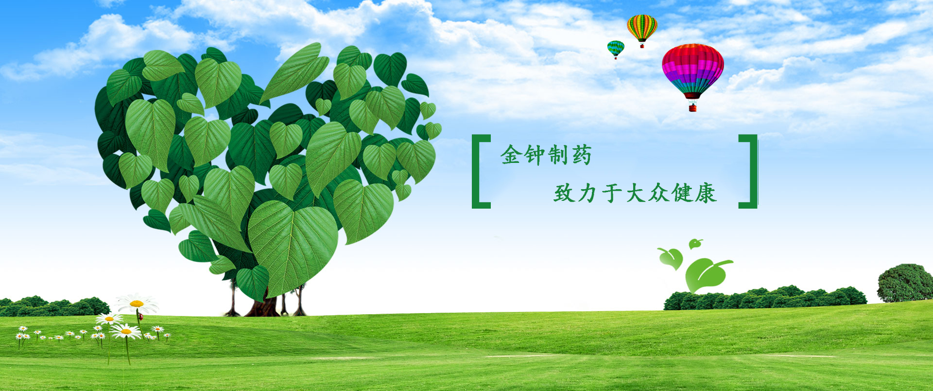 金鐘制藥-冠心痛可以用膏藥嗎,膏藥哪個牌子的好用